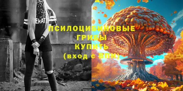МДМА Богородск