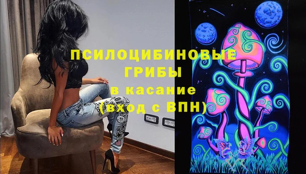 ПСИЛОЦИБИНОВЫЕ ГРИБЫ Бронницы