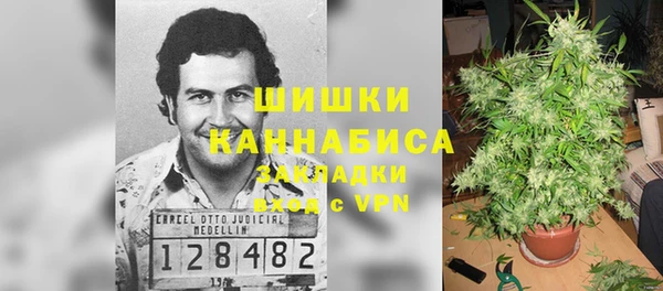 ПСИЛОЦИБИНОВЫЕ ГРИБЫ Бронницы