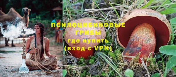 ПСИЛОЦИБИНОВЫЕ ГРИБЫ Бронницы