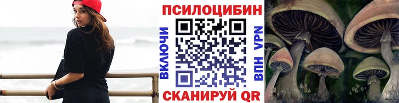 Псилоцибиновые грибы GOLDEN TEACHER  купить наркотики цена  Волжский 